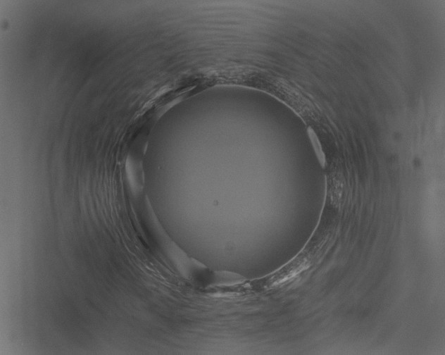 X0000051241010200506241516