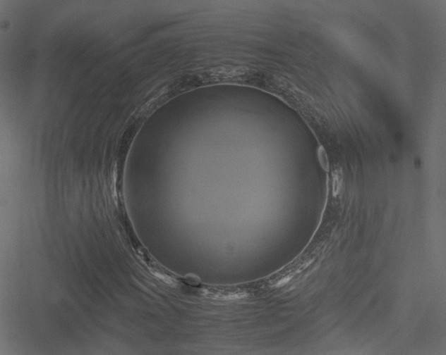 X0000051241011200506241516