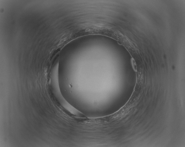 X0000051241012200506241516