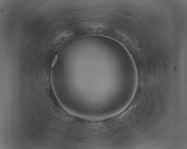 X0000051241013200506241516