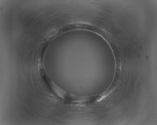 X0000051241014200506241516