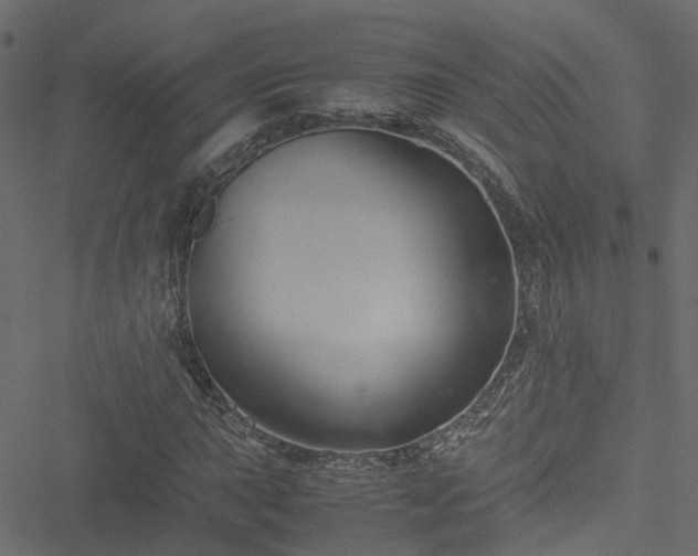 X0000051241015200506241516