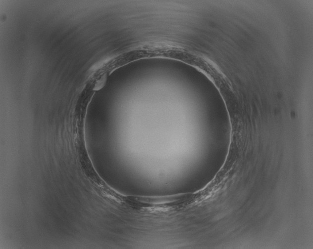 X0000051241016200506241516