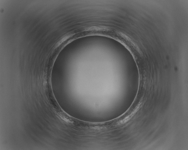 X0000051241017200506241516