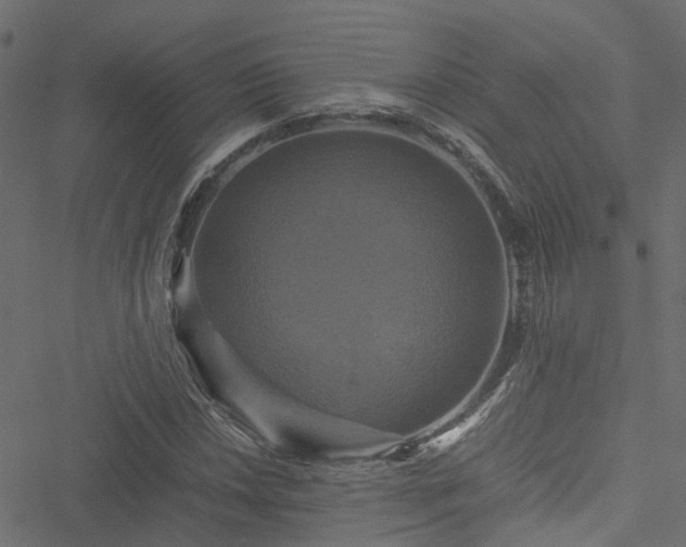 X0000051241018200506241516