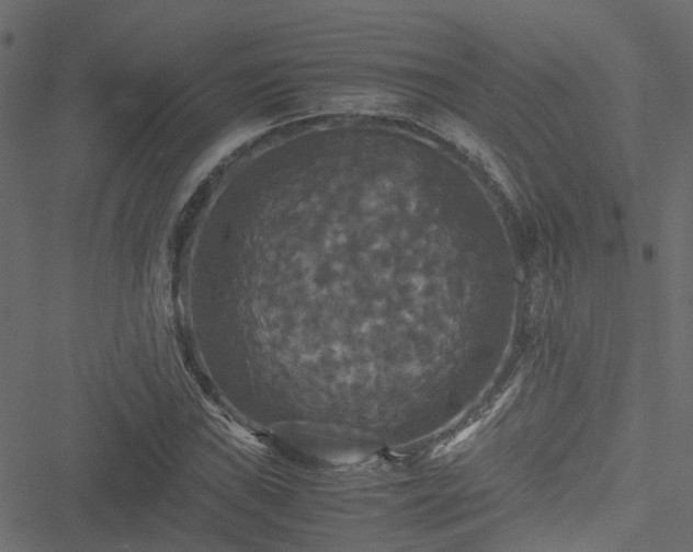 X0000051241019200506241516