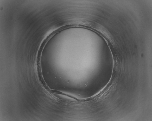 X0000051241020200506241516