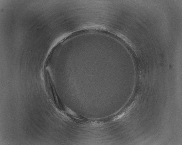 X0000051241022200506241516