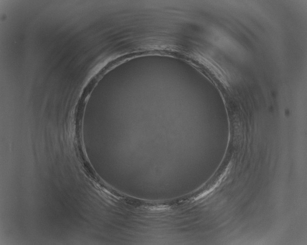 X0000051241023200506241516