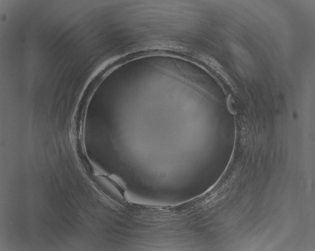 X0000051241024200506241516