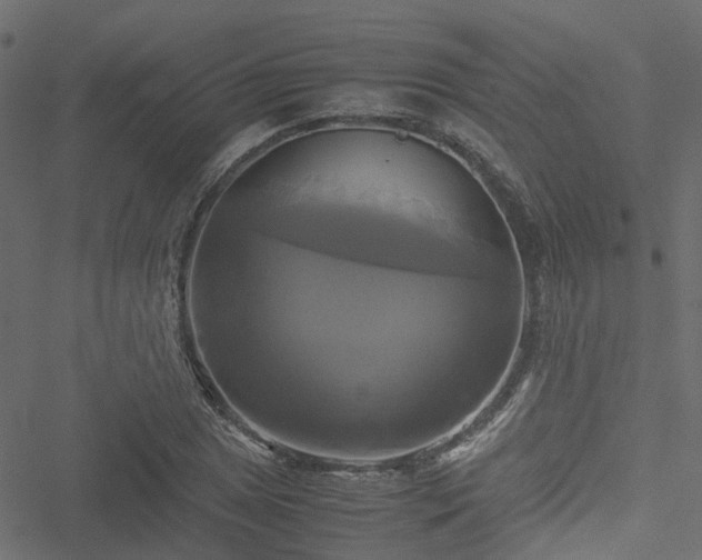 X0000051241025200506241516