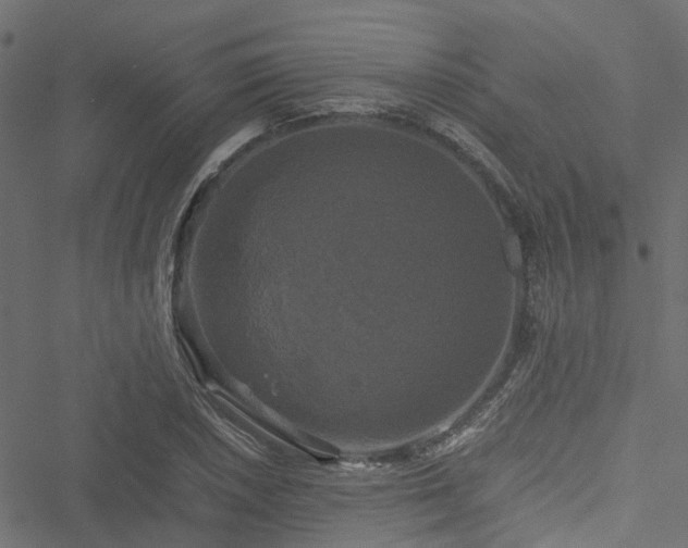 X0000051241026200506241516