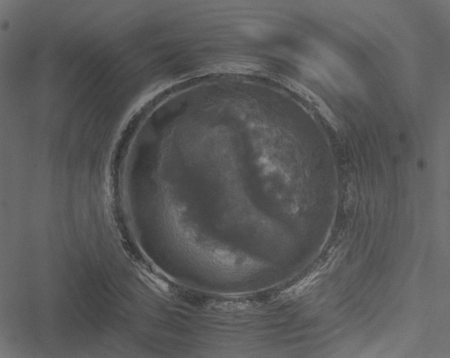 X0000051241027200506241516