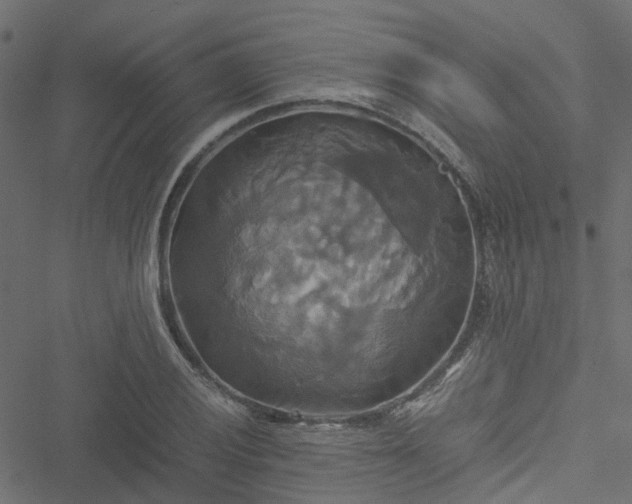 X0000051241028200506241516