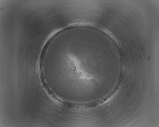 X0000051241030200506241516