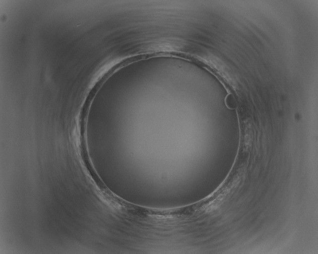 X0000051241031200506241516