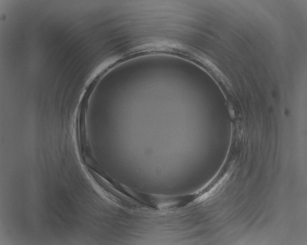 X0000051241034200506241516