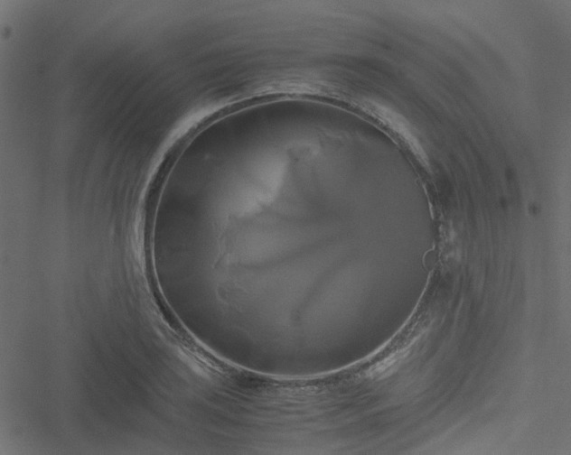 X0000051241035200506241516