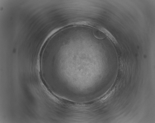 X0000051241036200506241516