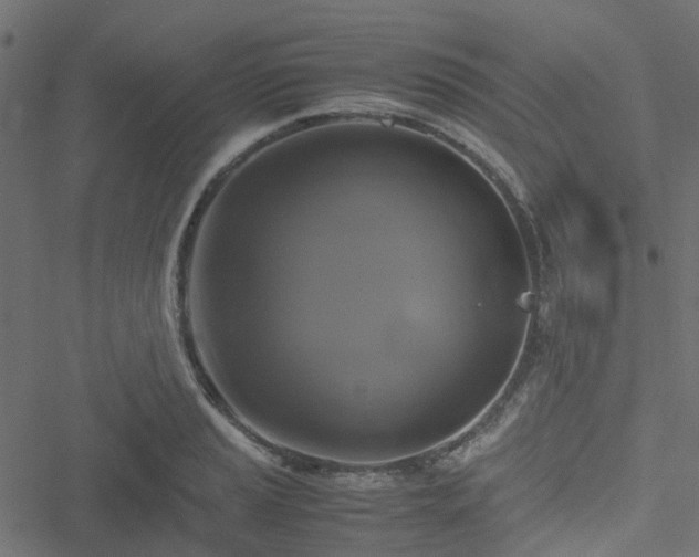 X0000051241037200506241516