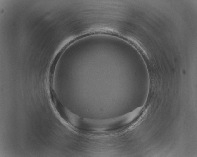 X0000051241038200506241516