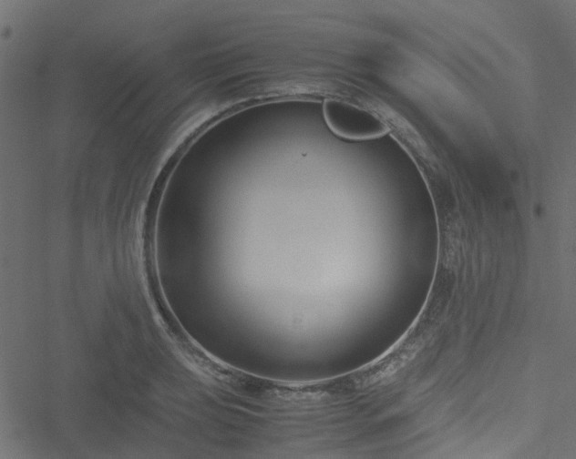 X0000051241039200506241516