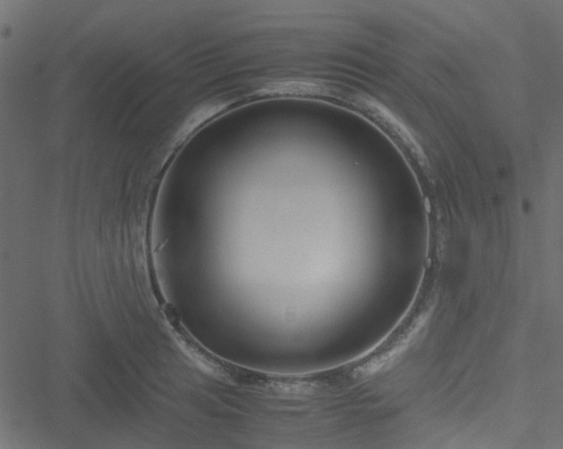 X0000051241041200506241516