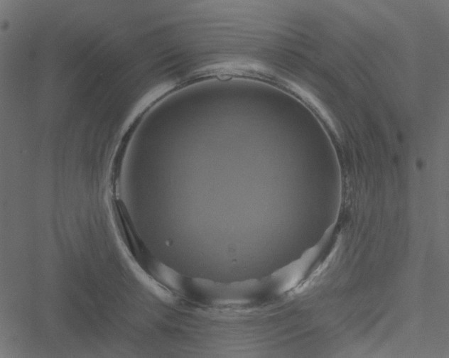 X0000051241042200506241516