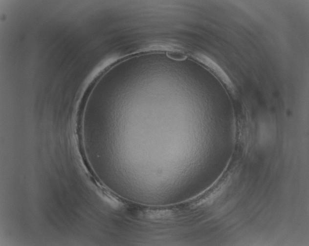 X0000051241043200506241516