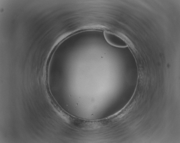 X0000051241044200506241516