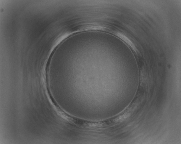 X0000051241047200506241516