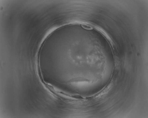 X0000051241048200506241516