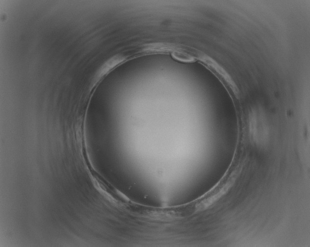 X0000051241049200506241516