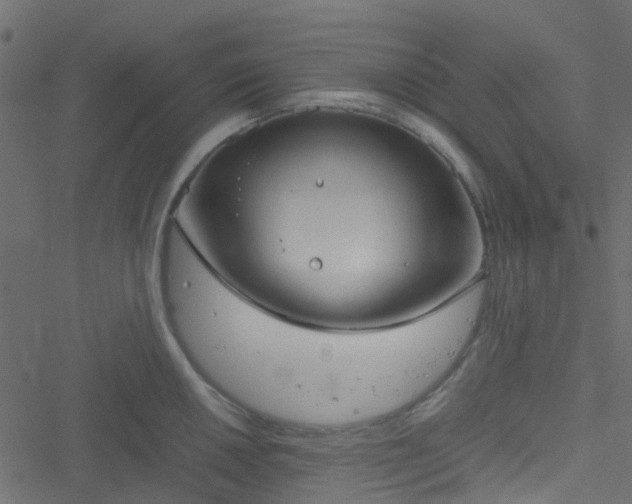 X0000051241050200506241516