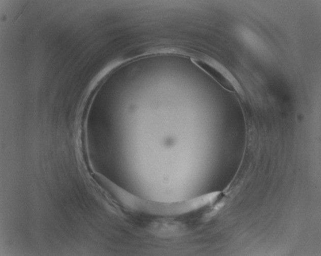 X0000051241051200506241516