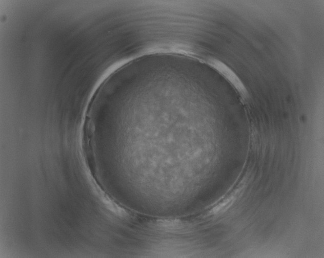 X0000051241052200506241516