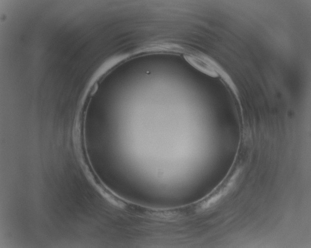 X0000051241053200506241516