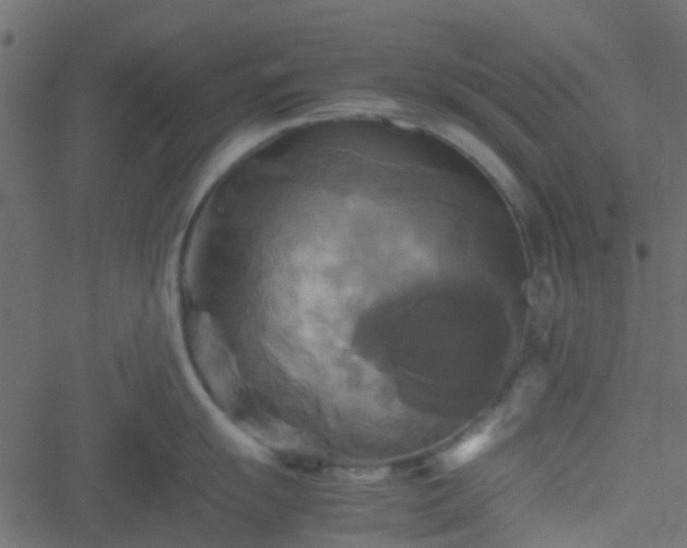 X0000051241055200506241516