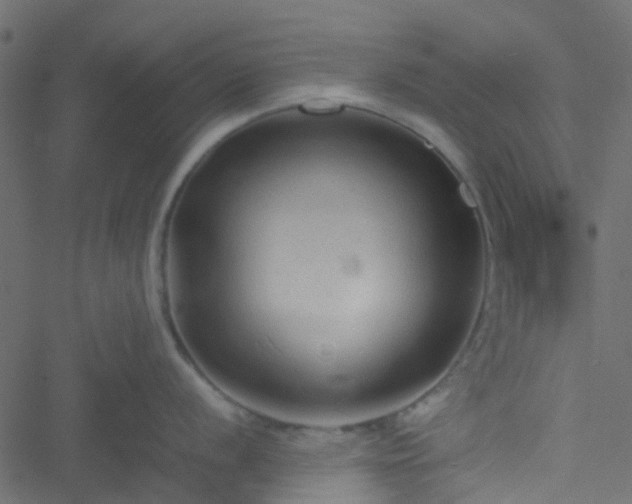 X0000051241056200506241516