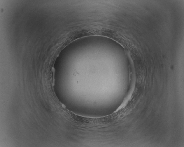 X0000051241057200506241516