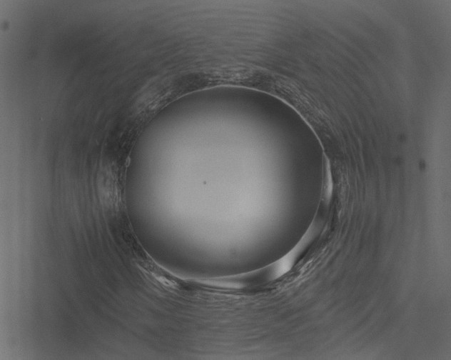 X0000051241058200506241516