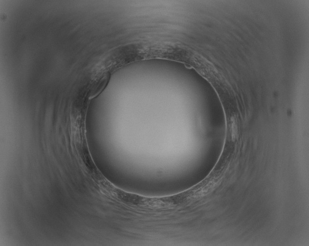 X0000051241059200506241516