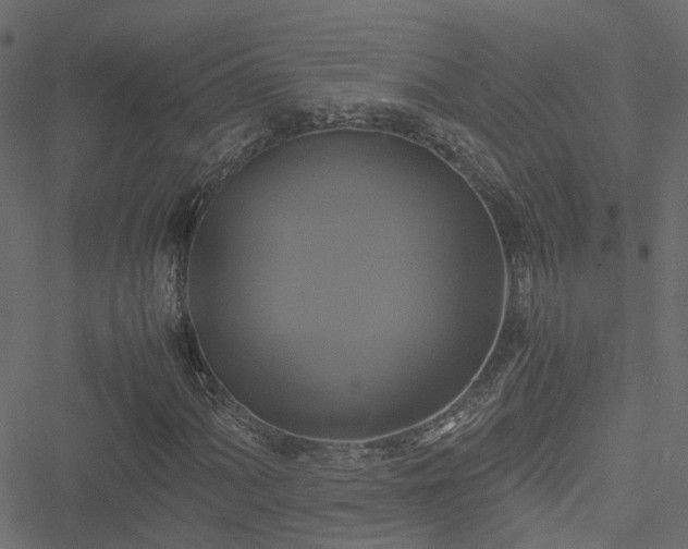 X0000051241060200506241516