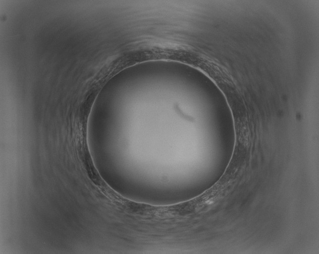 X0000051241061200506241516