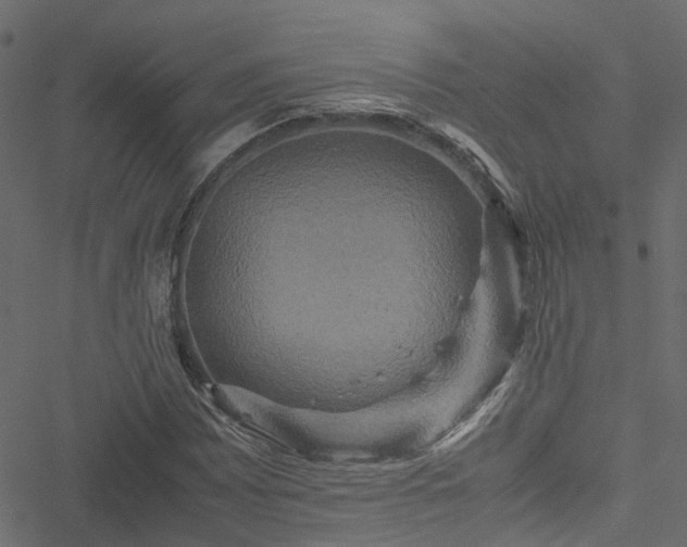 X0000051241065200506241515