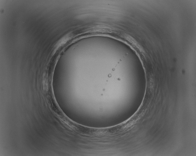 X0000051241067200506241515