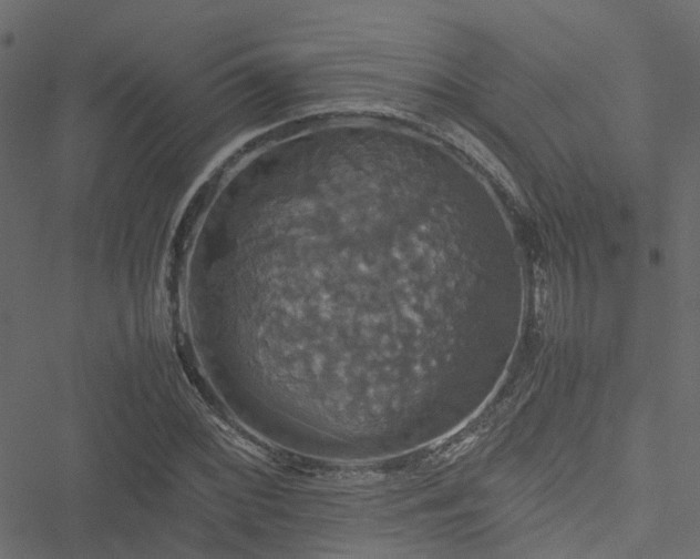 X0000051241068200506241515