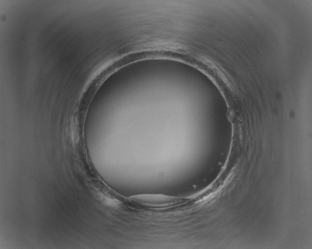 X0000051241069200506241515