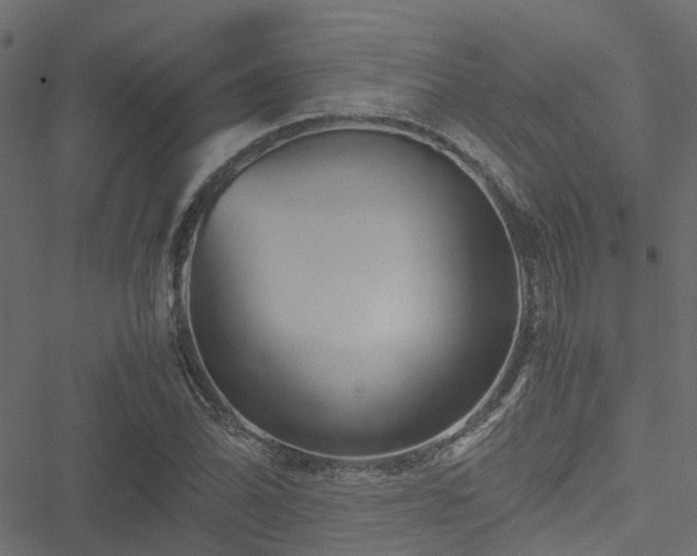 X0000051241070200506241515