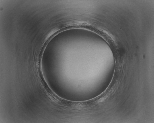 X0000051241073200506241515